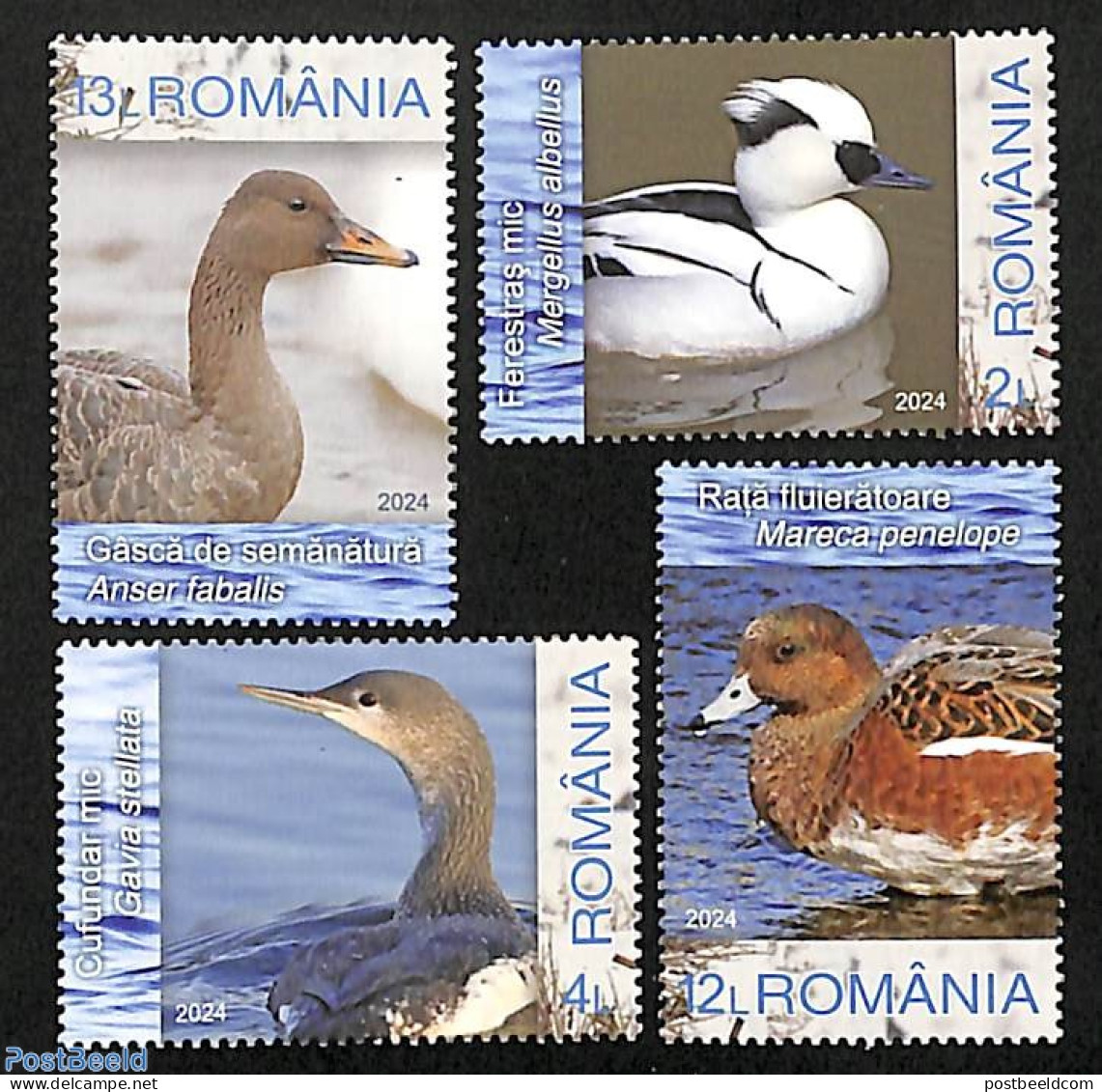 Romania 2024 Winter Waterbirds 4v, Mint NH, Nature - Birds - Ducks - Nuovi