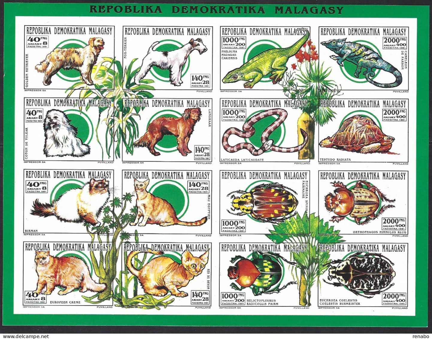 Madagascar, Malagasy 1993; Fauna: CATS, Dogs, Insects, Reptiles; 4 Quatrains Form A Block Of 16v. IMPERFORATED - Chats Domestiques