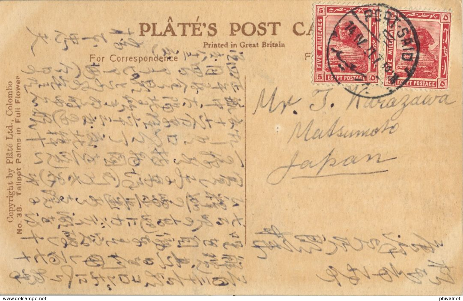 1914 , PORT SAID - MATSUMOTO ( JAPÓN ) , T.P. CIRCULADA , ED. PLATÉ LTD. COLOMBO Nº 38 , TALIPOT PALMS IN FULL FLOWER - 1866-1914 Khedivate Of Egypt