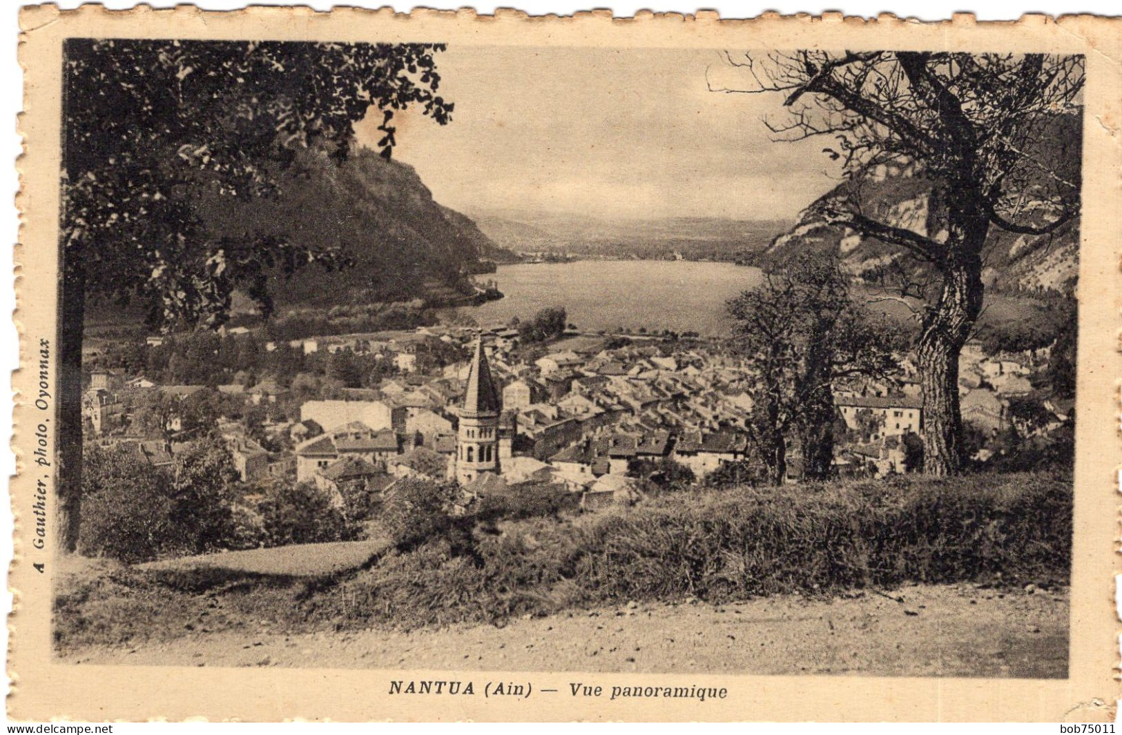 NANTUA , Vue Panoramique - Nantua