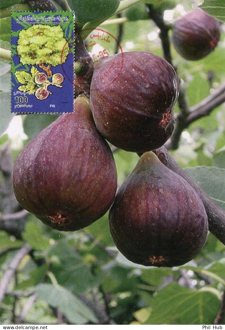 LIBYA 1995 Fruits Orchards "Fig" (maximum-card) #15 - Fruits