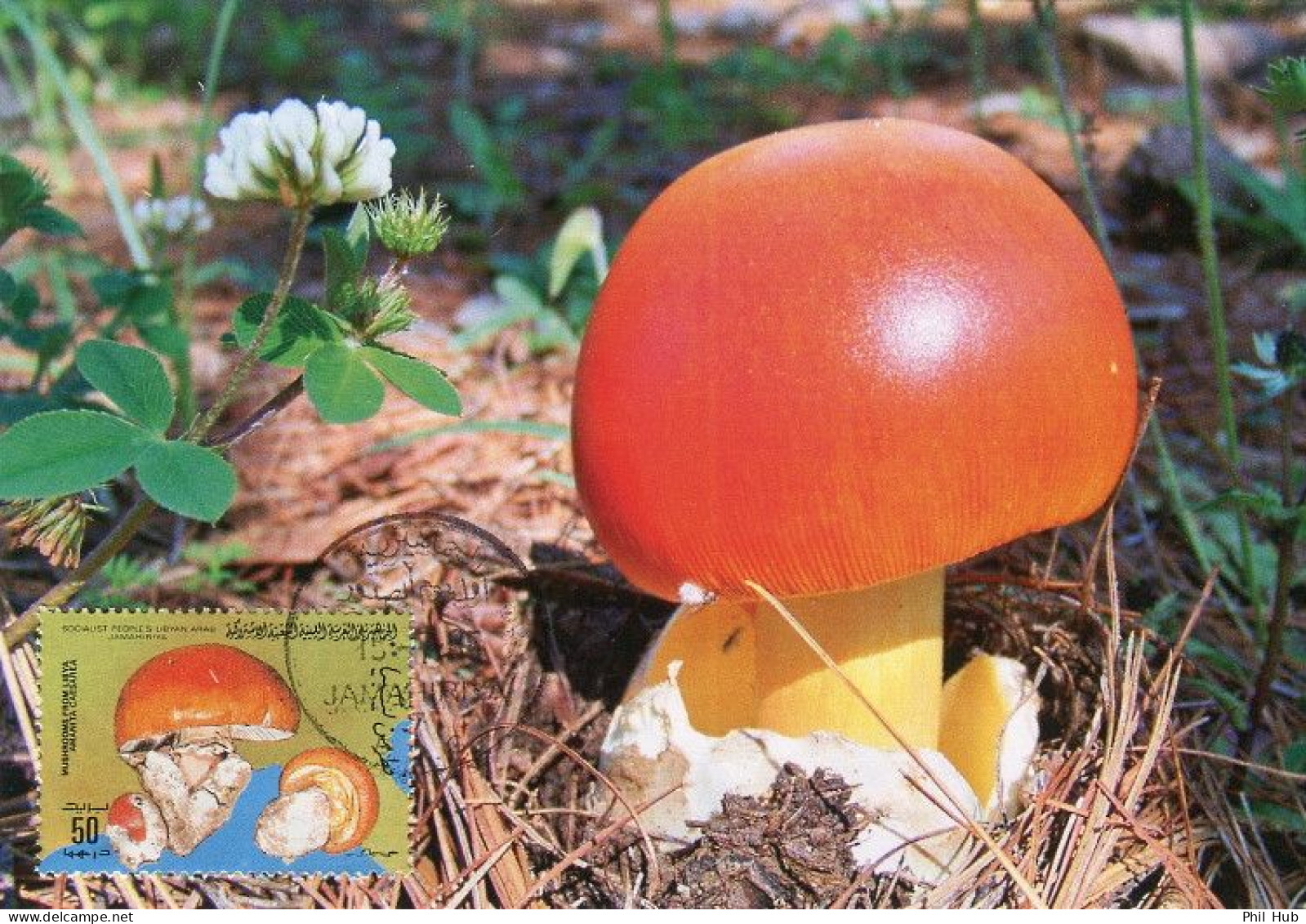 LIBYA 1985 Mushrooms "Amanita Caesarea" (maximum-card) #2 - Pilze