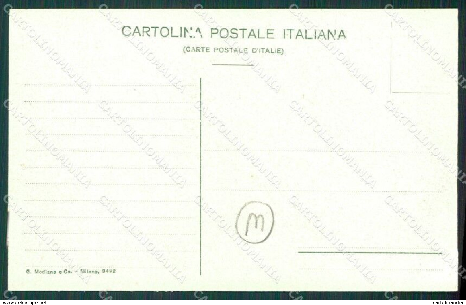 Vibo Valentia Parghelia Terremoto Delle Calabrie Cartolina QZ4210 - Vibo Valentia