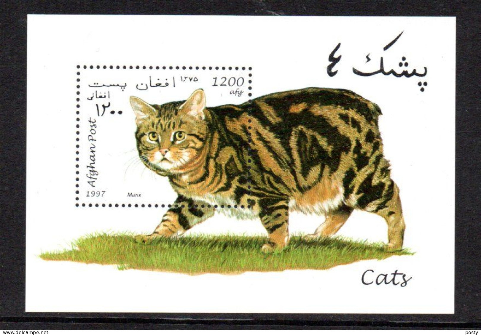AFGHANISTAN - M/S - B/F - 1997 - CATS - KATZEN - CHATS - - Afganistán