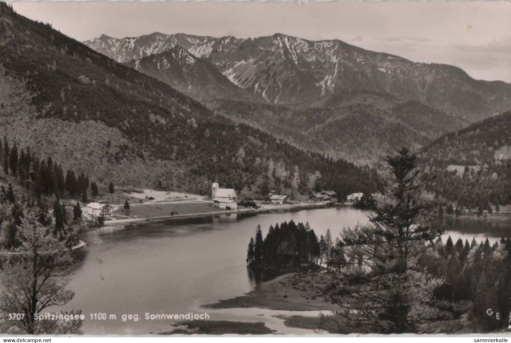 69594 - Spitzingsee - Gegen Sonnwendjoch - 1958 - Schliersee