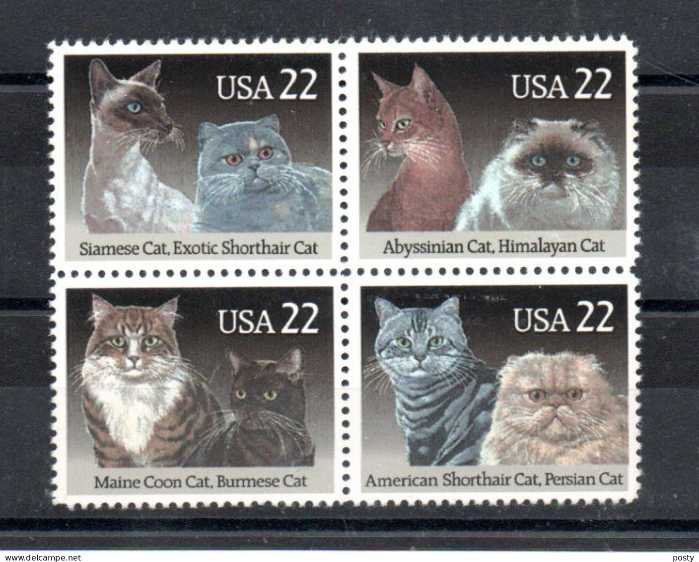 ETATS-UNIS - 1988 - CATS - KATZEN - CHATS - - Ongebruikt