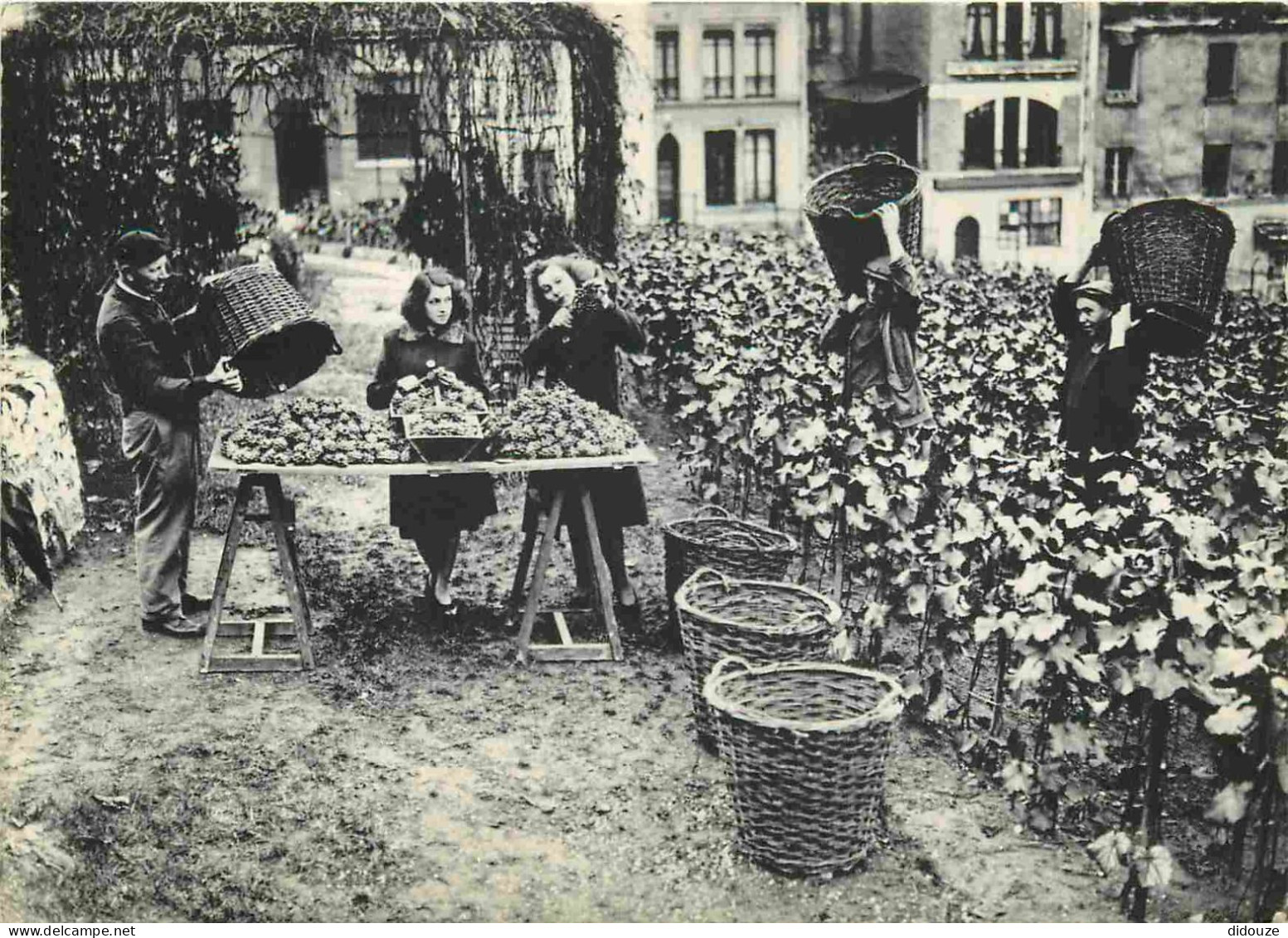 Reproduction CPA - 75 Paris - Vendanges Rue Des Saules à Montmartre - CPM - Carte Neuve - Voir Scans Recto-Verso - Unclassified