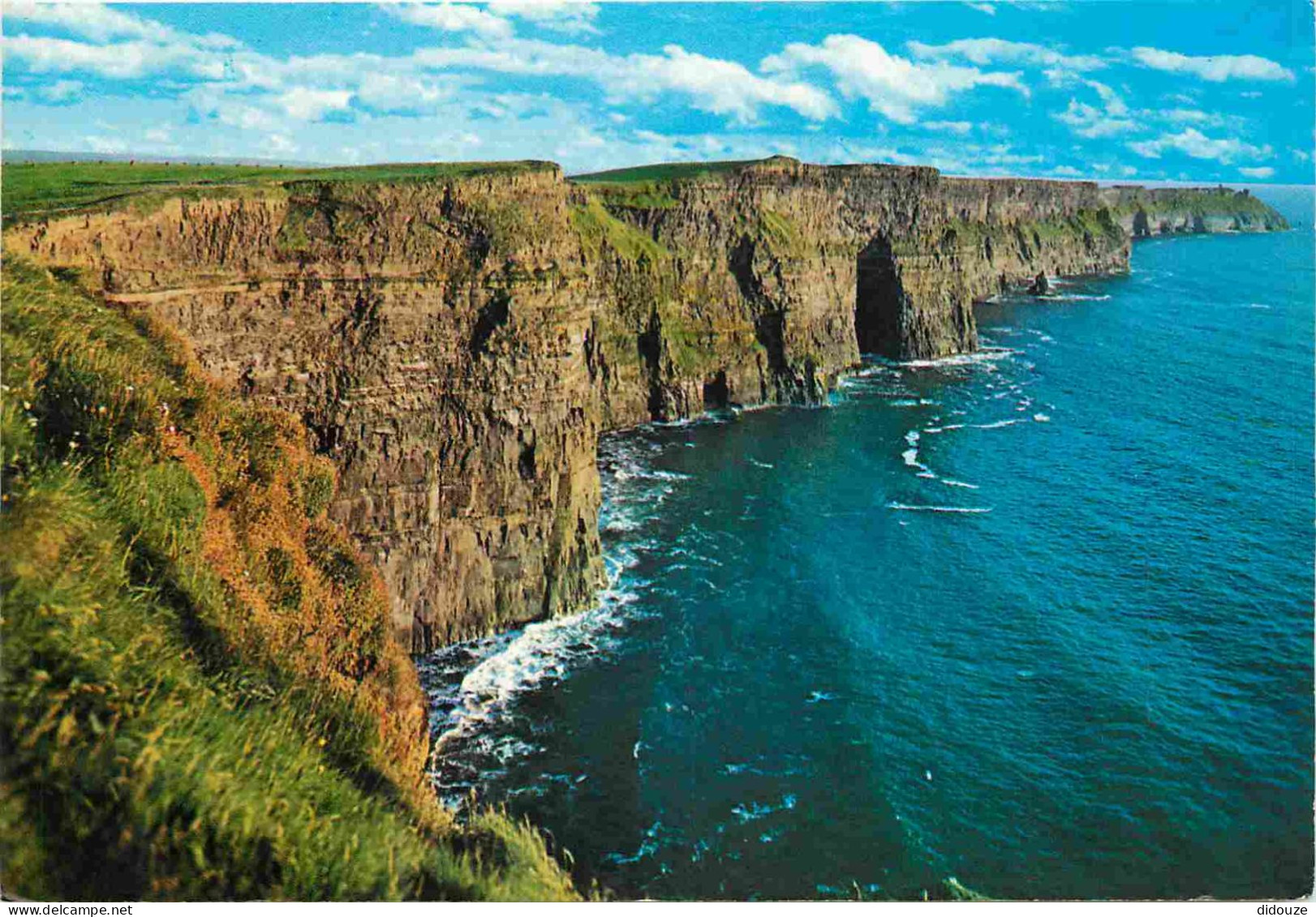 Irlande - Clare - Cliffs Of Moher - CPM - Voir Scans Recto-Verso - Clare