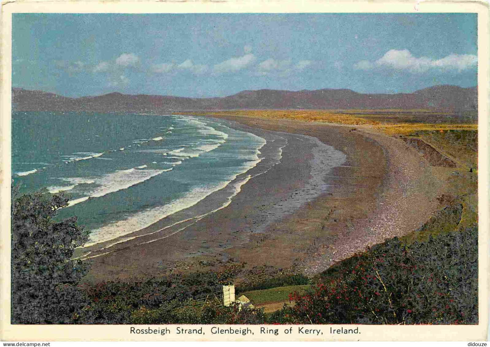 Irlande - Kerry - Ring Of Kerry - Rossbeigh Strand - Glenbeigh - CPM - Voir Scans Recto-Verso - Kerry