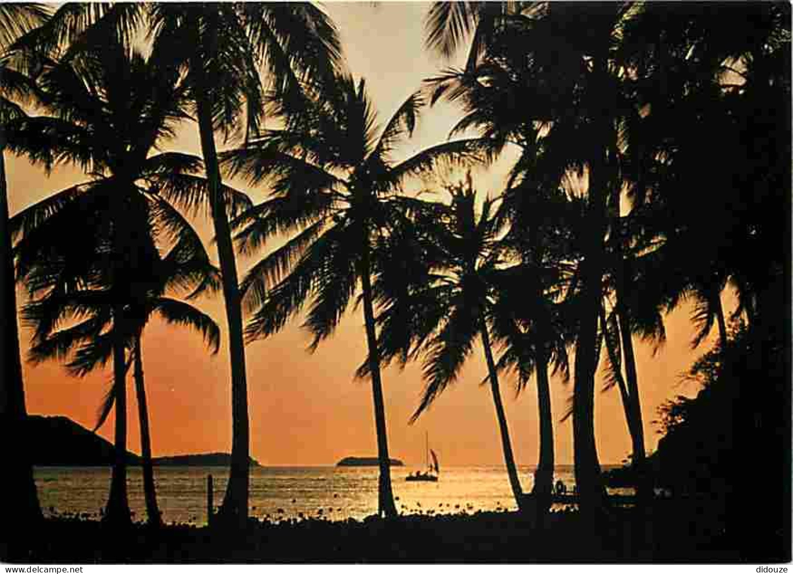 Antilles - Coucher De Soleil - Plages - Carte Neuve - CPM - Voir Scans Recto-Verso - Sonstige & Ohne Zuordnung