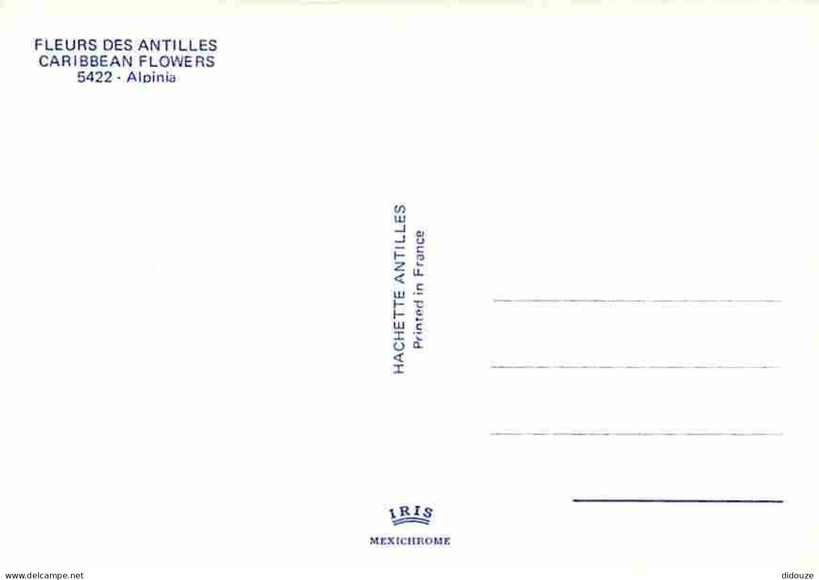 Antilles - Fleurs Des Antilles - Aloinia - Carte Neuve - CPM - Voir Scans Recto-Verso - Altri & Non Classificati