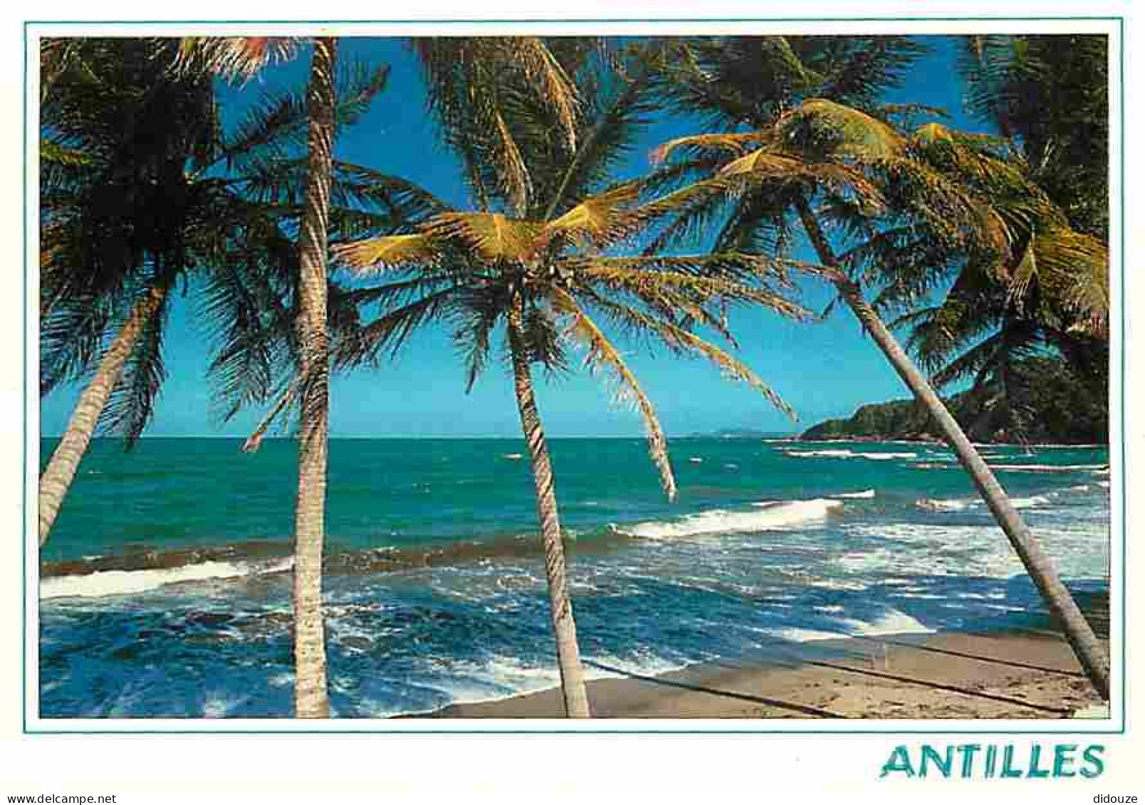Antilles - Antilles Francaise - Plages - CPM - Voir Scans Recto-Verso - Andere & Zonder Classificatie