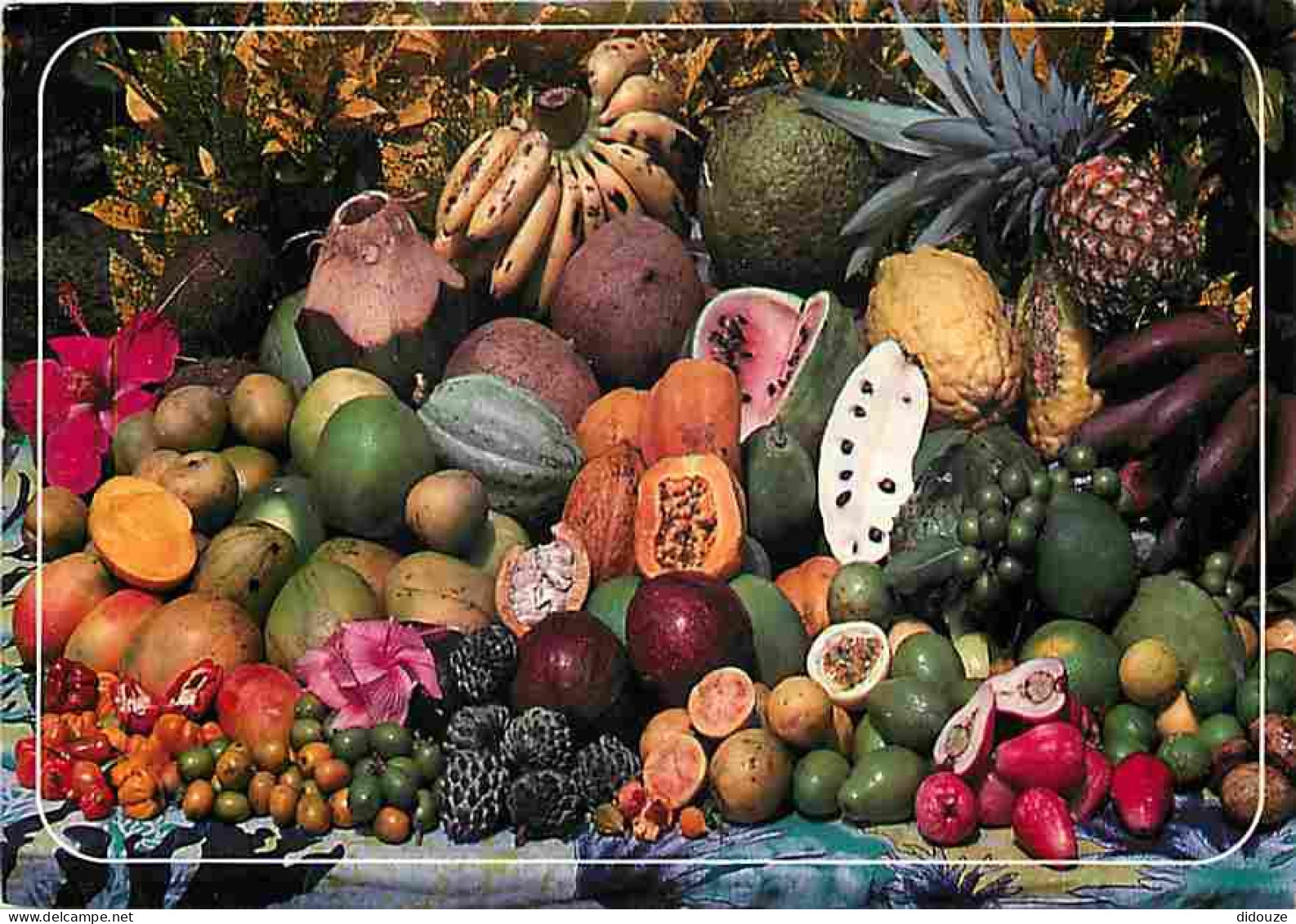 Antilles - Fruits Exotiques - CPM - Voir Scans Recto-Verso - Sonstige & Ohne Zuordnung