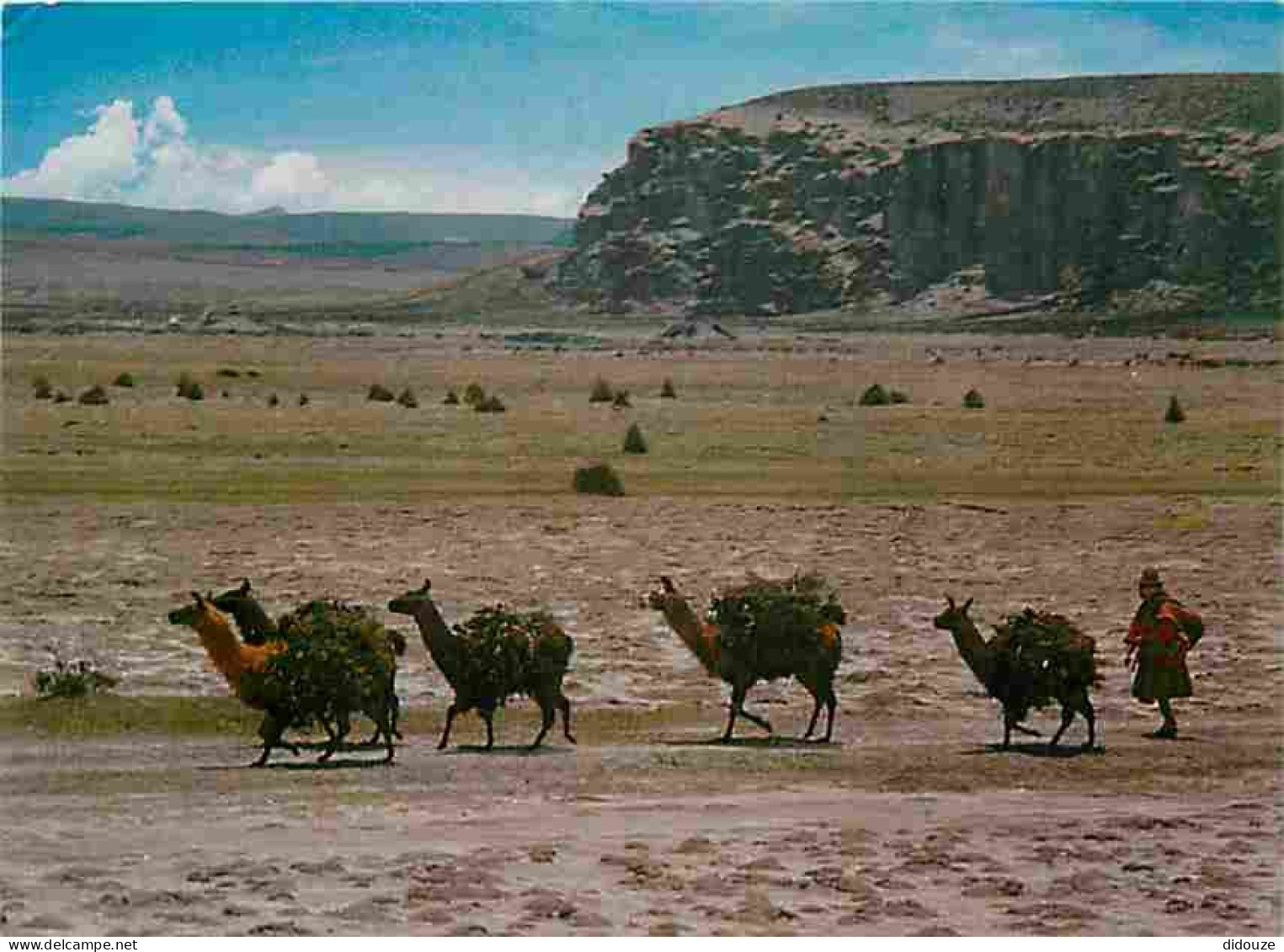 Pérou - Recua De Liamas En Altiplano - Troupe De Lamas Sur Le Haut Plateau - Etat Pli Visible - CPM - Voir Scans Recto-V - Peru