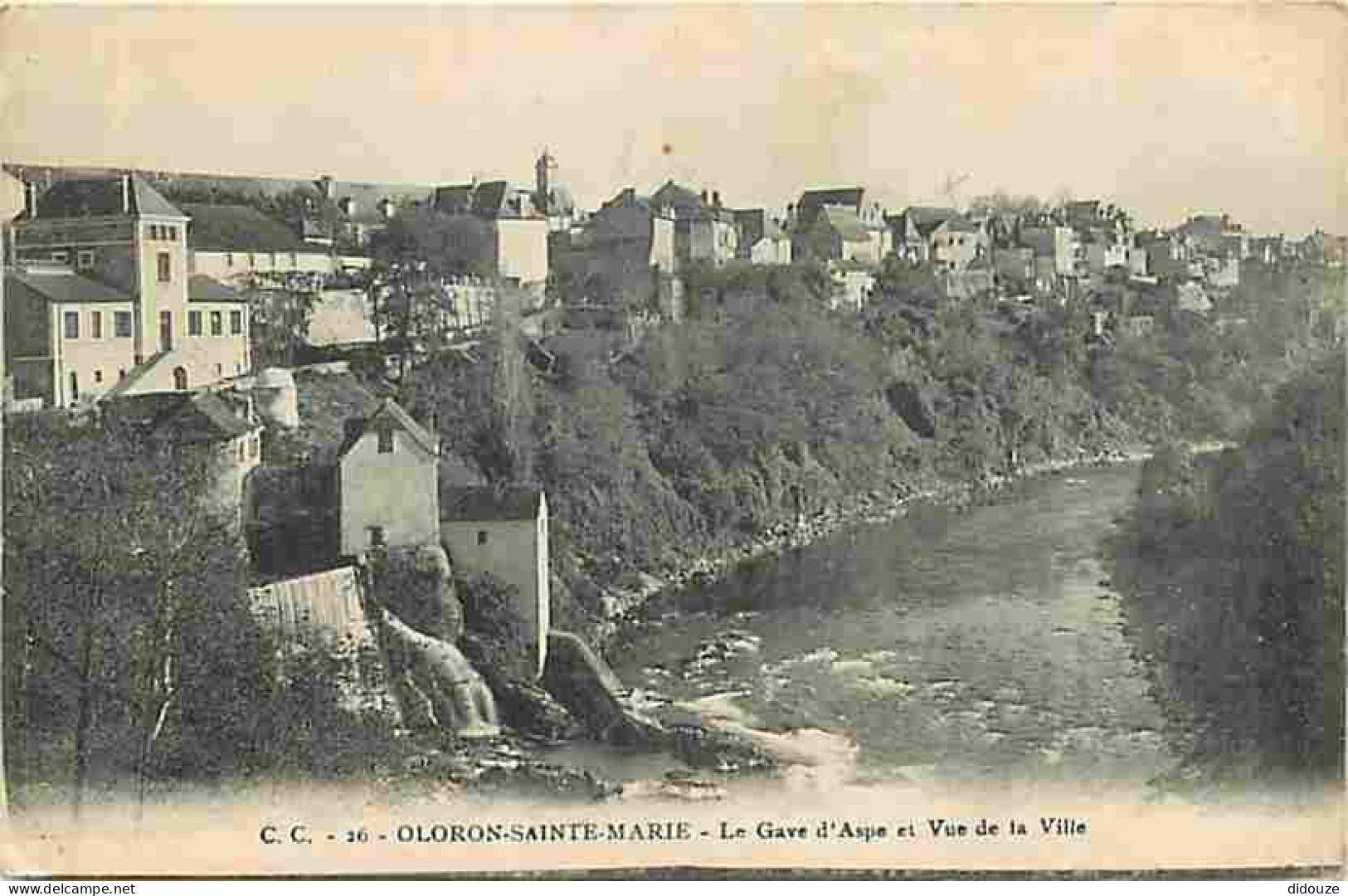 64 - Oloron Sainte Marie - Le Gave D'Aspe Et Vue De La Ville - Correspondance - CPA - Voir Scans Recto-Verso - Oloron Sainte Marie