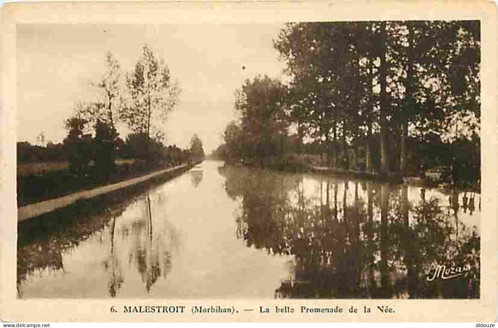 56 - Malestroit - La Belle Promenade De La Née - CPA - Voir Scans Recto-Verso - Malestroit