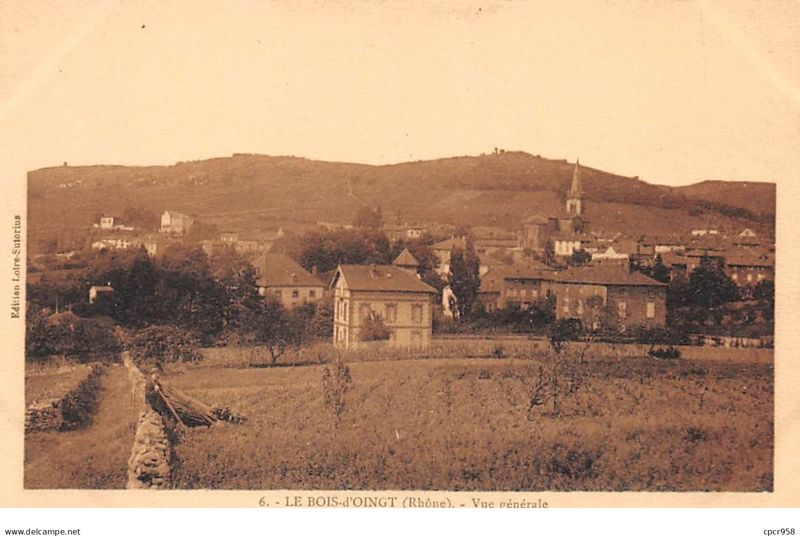 69 - N°74351 - LE BOIS D'OINGT - Vue Générale - Le Bois D'Oingt