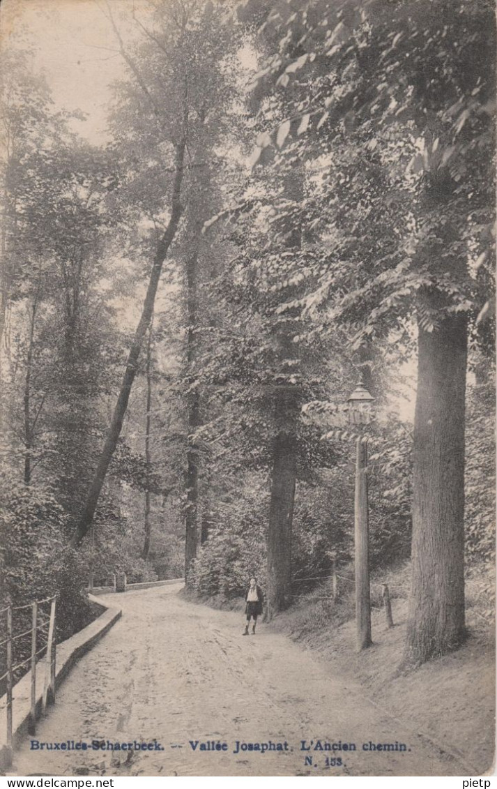 Schaerbeek Vallée Josaphat - Sans éditeur - Forests, Parks