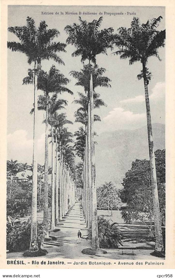 Brésil - N°78134 - RIO DE JANEIRO - Jardin Botanique - Avenue Des Palmiers - Rio De Janeiro