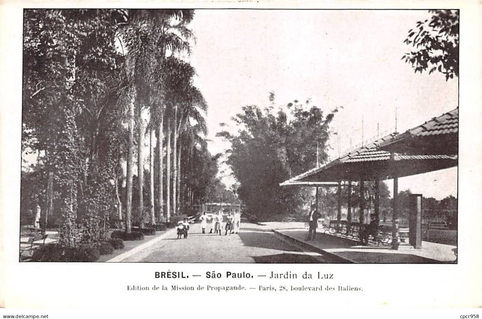 Brésil - N°78025 - SAO PAULO - Jardin Da Luz - São Paulo