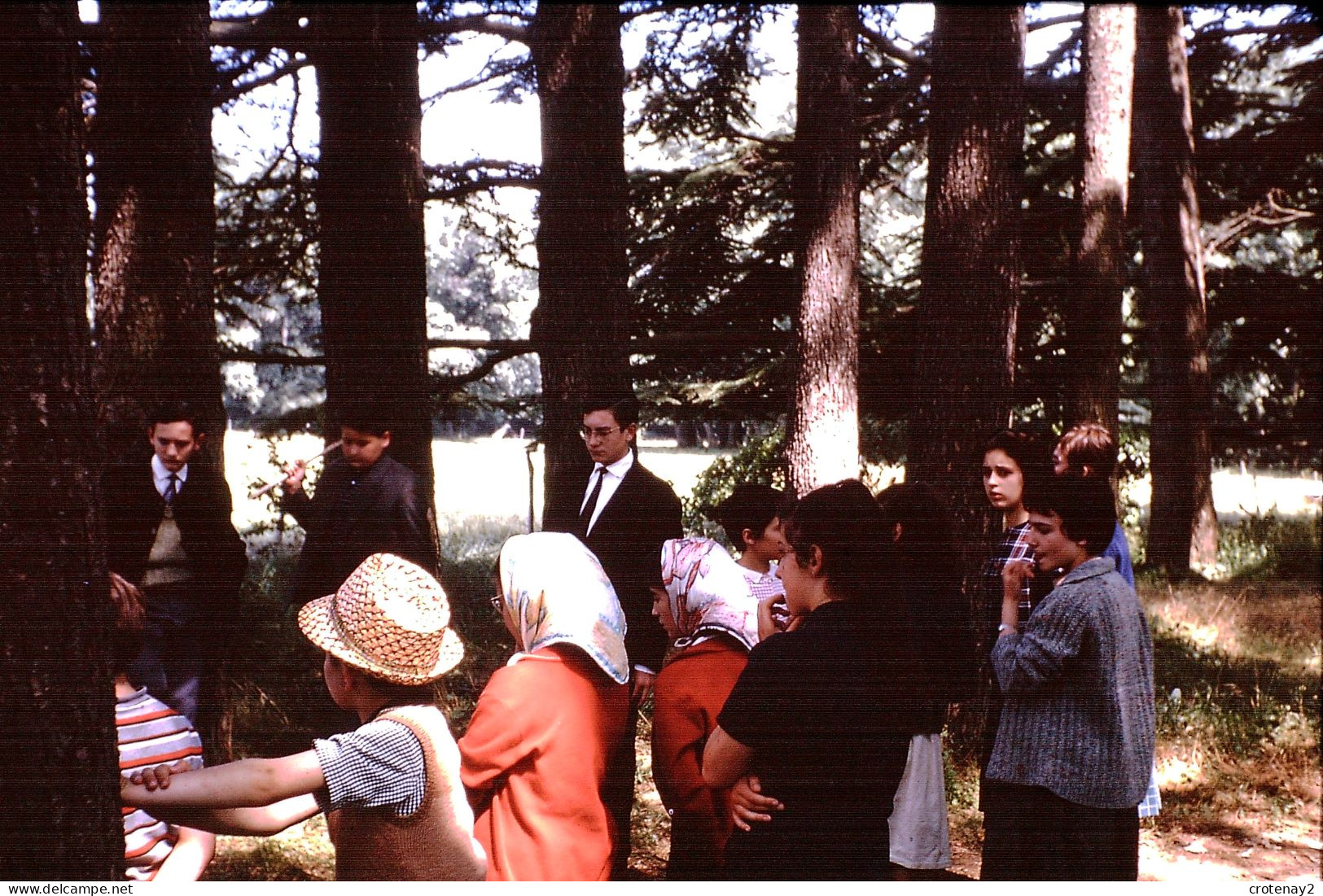 Photo Diapo Diapositive Slide à Situer FAMILLE Dans Les Bois En 1963 VOIR ZOOM - Diapositives