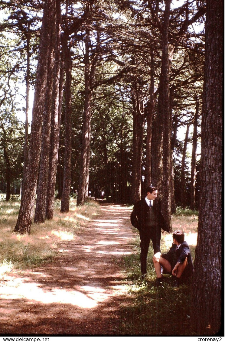 Photo Diapo Diapositive Slide à Situer FAMILLE Hommes Dans Les Bois En 1963 VOIR ZOOM - Dias