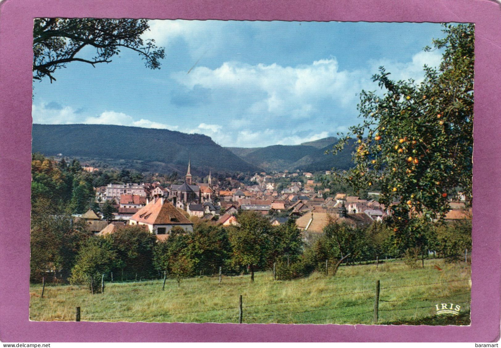 67 NIEDERBRONN LES BAINS  La Ville Au Pied Des Vosges Éditions  La Cigogne N°67 324 40 - Niederbronn Les Bains