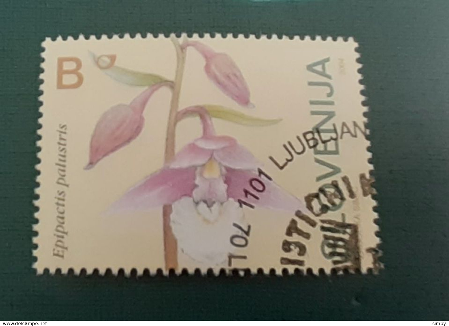SLOVENIA 2004 Orhids Flowers Michel 483 Used Stamp - Slowenien