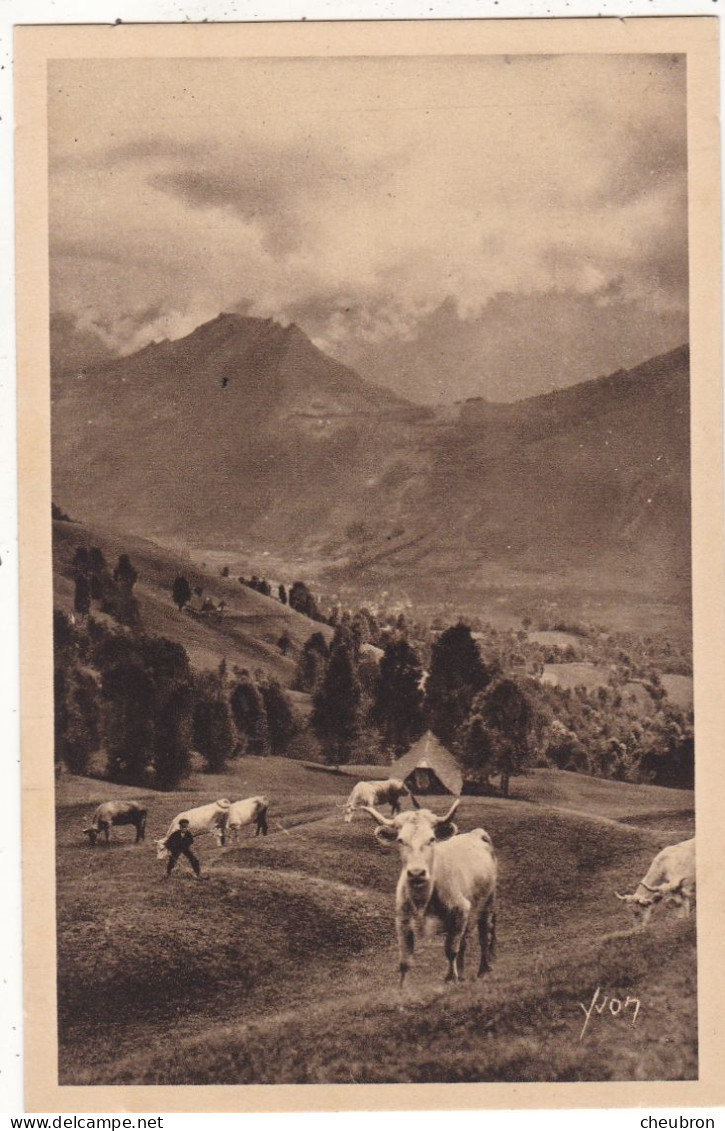 ELEVAGE. CPA. PATURAGE SUR LA ROUTE DU COL DE L'AUBISQUE( 65) - Viehzucht