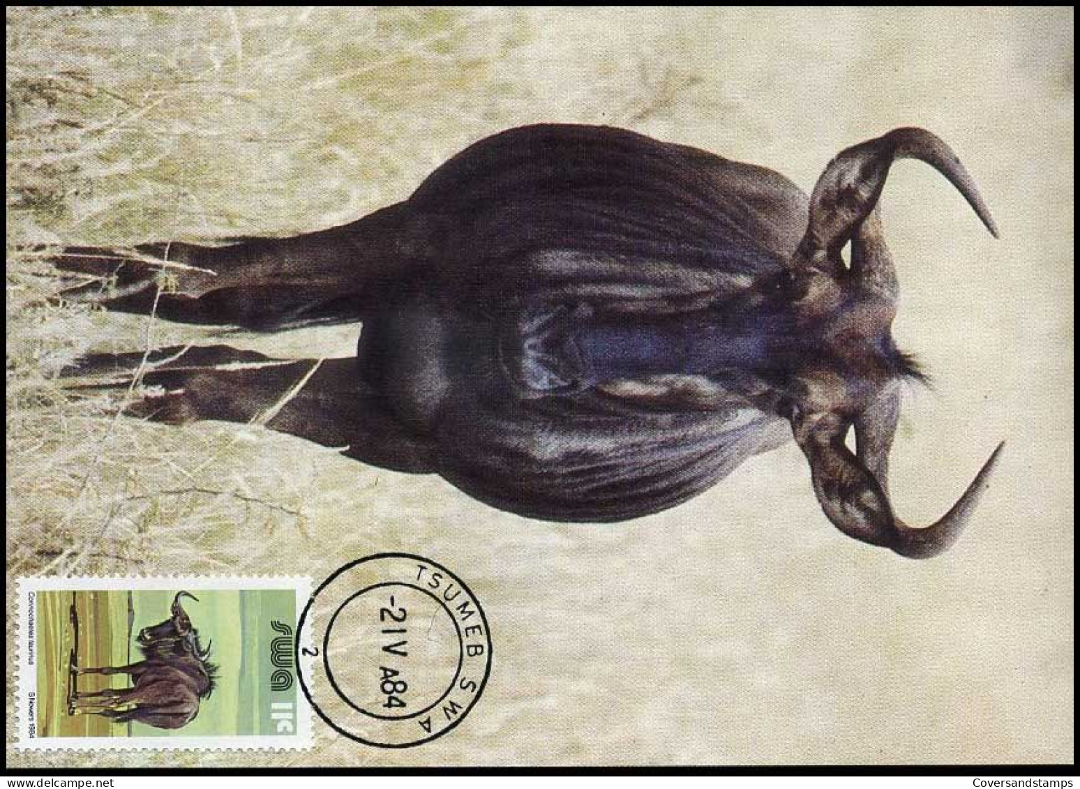 SWA - MK - Blue Wildebeest                         - Africa Del Sud-Ovest (1923-1990)