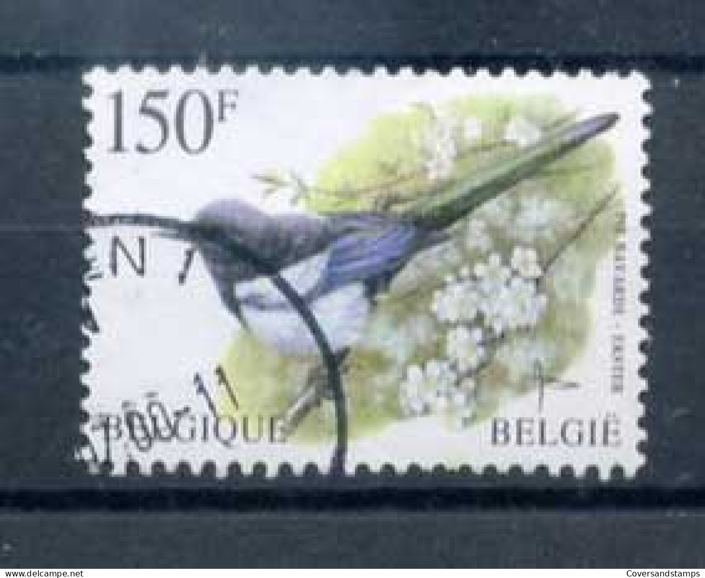 België - 2697  Ekster, Buzin    (gestempeld/oblitéré)                                - Used Stamps