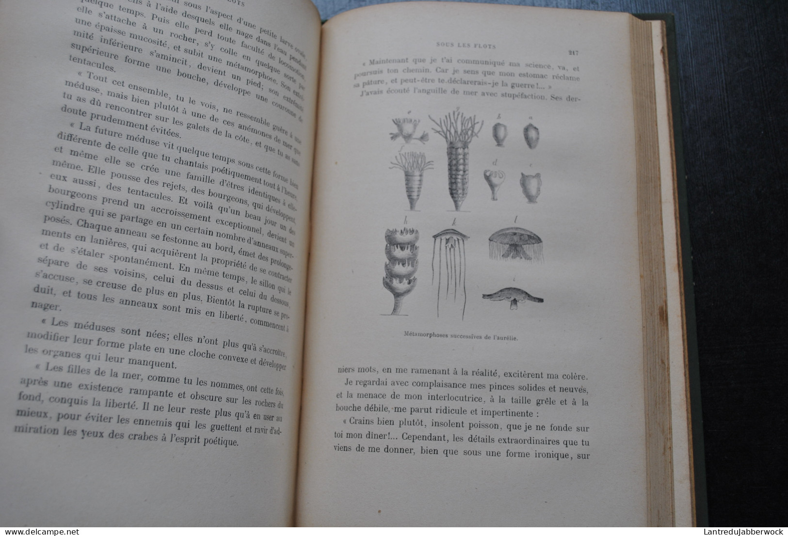 ACLOQUE Sous Les Flots Mame Sd - Crabe Moules Méduses Poissons Pêcheurs Récit D'aventure Sur Mer Faune Flore Sous-marine - 1901-1940