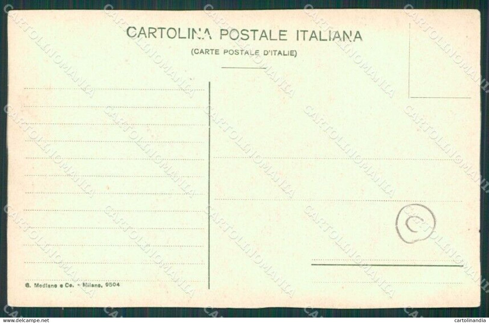 Vibo Valentia Parghelia Terremoto Delle Calabrie Cartolina QZ4200 - Vibo Valentia