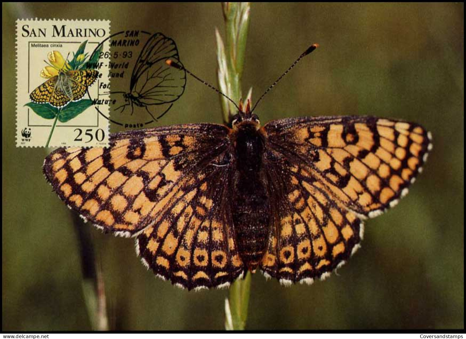  San Marino - MK -  WWF - Glanville Fritillary - Vlinders