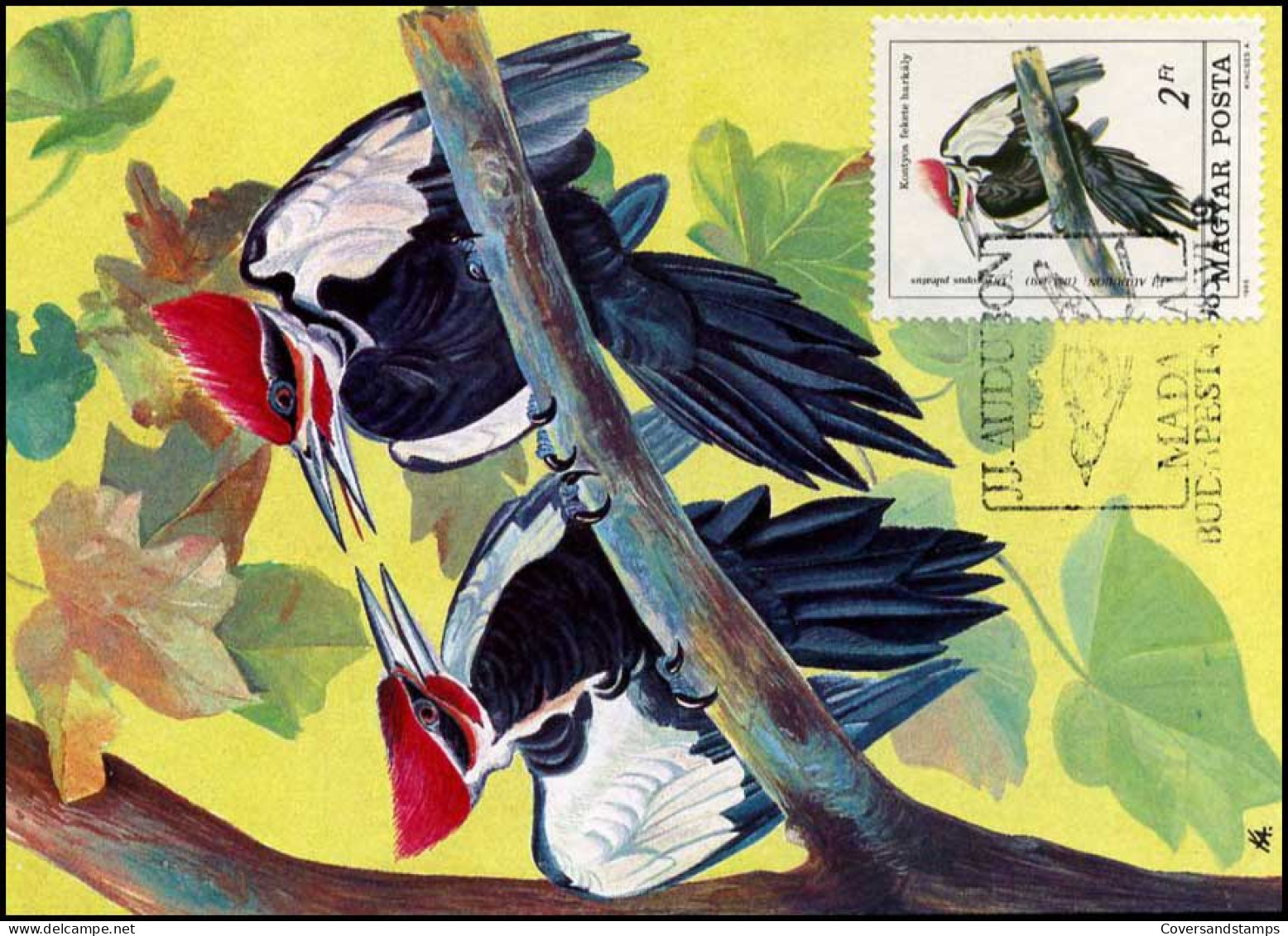 Hongarije - MK -  Vogels / Birds - Maximumkaarten