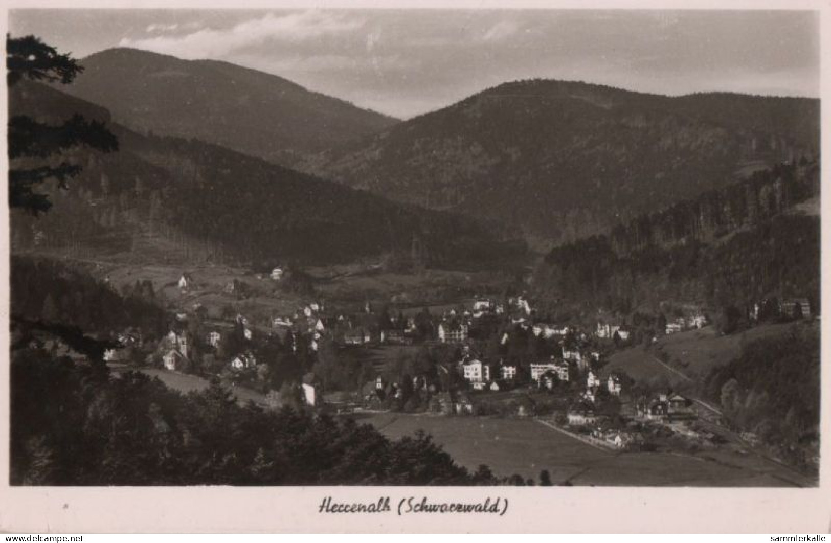 76590 - Bad Herrenalb - 1952 - Bad Herrenalb