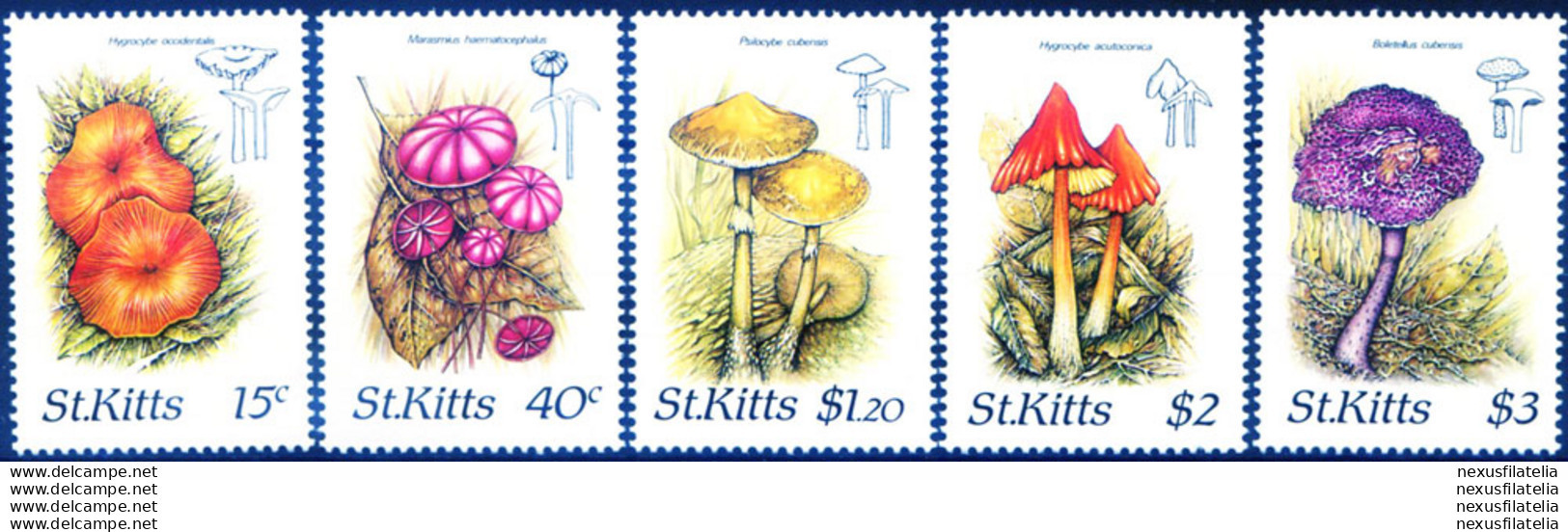 Funghi 1987. - St.Kitts And Nevis ( 1983-...)