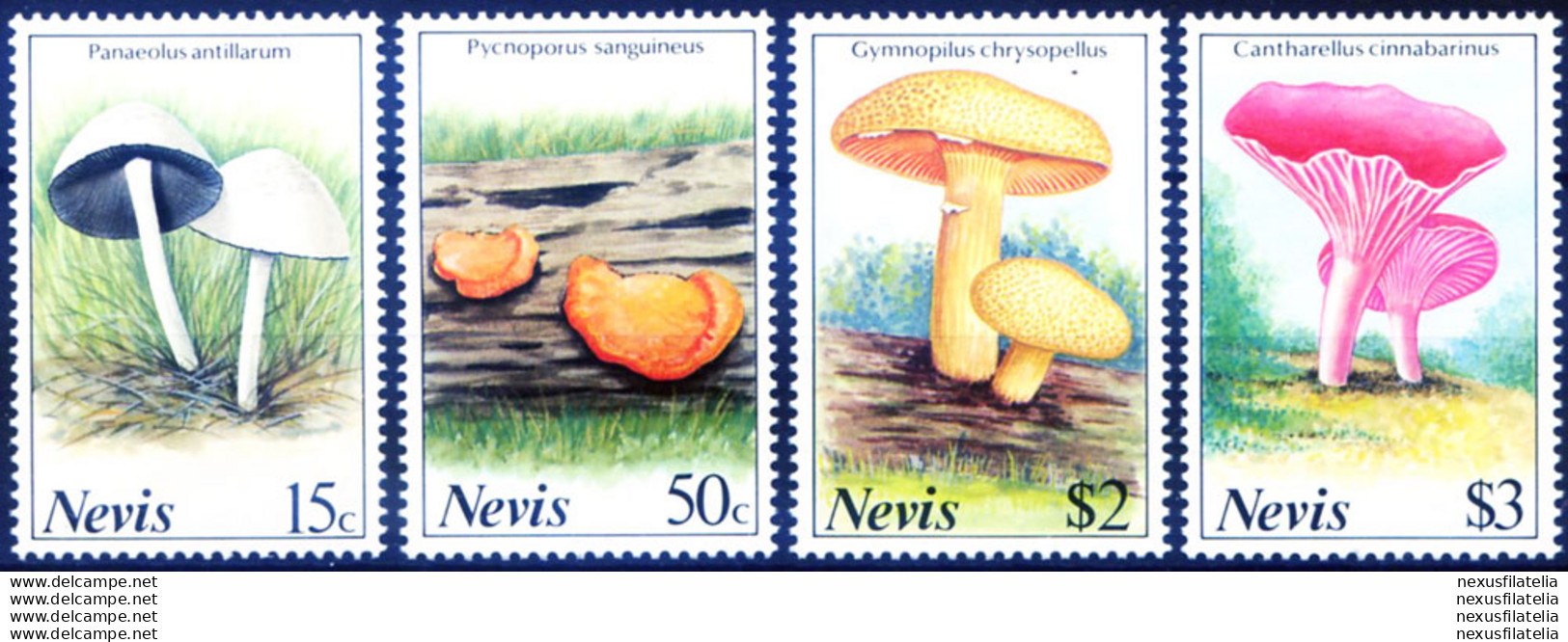 Flora. Funghi 1987. - St.Kitts-et-Nevis ( 1983-...)