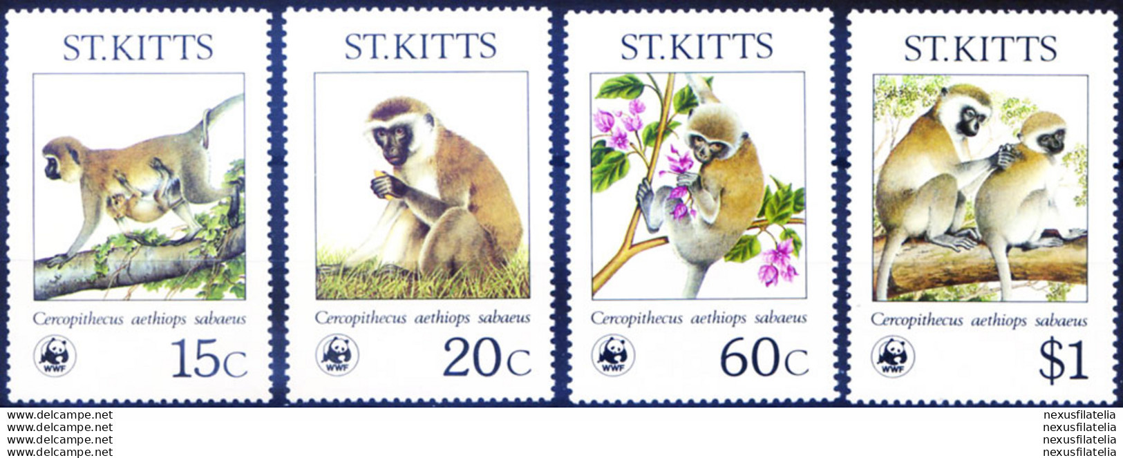 Fauna. Cercopiteco 1986. - St.Kitts Und Nevis ( 1983-...)