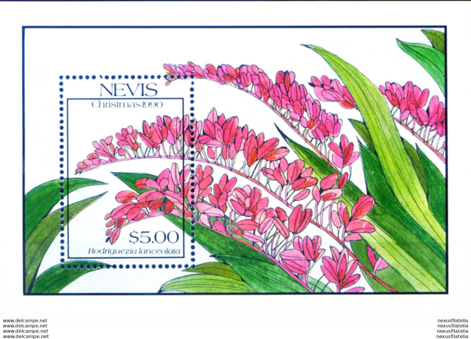 Natale. Orchidee 1990. - St.Kitts-et-Nevis ( 1983-...)