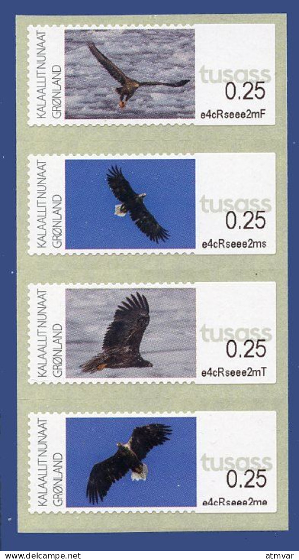 GREENLAND GROENLAND (2023) - ATM Series White-tailed Eagle, Pygargue à Queue Blanche, Seeadler, Haliaeetus Albicilla - Distributori