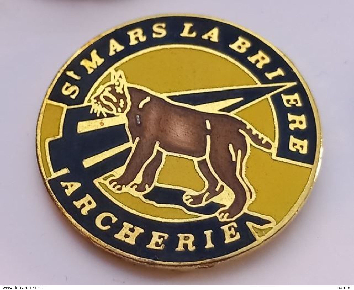 N314 Pin's Tir à L'arc St Saint Mars La Brière Archerie Sarthe Qualité EGF Lion Panthère  Achat Immédiat - Bogenschiessen