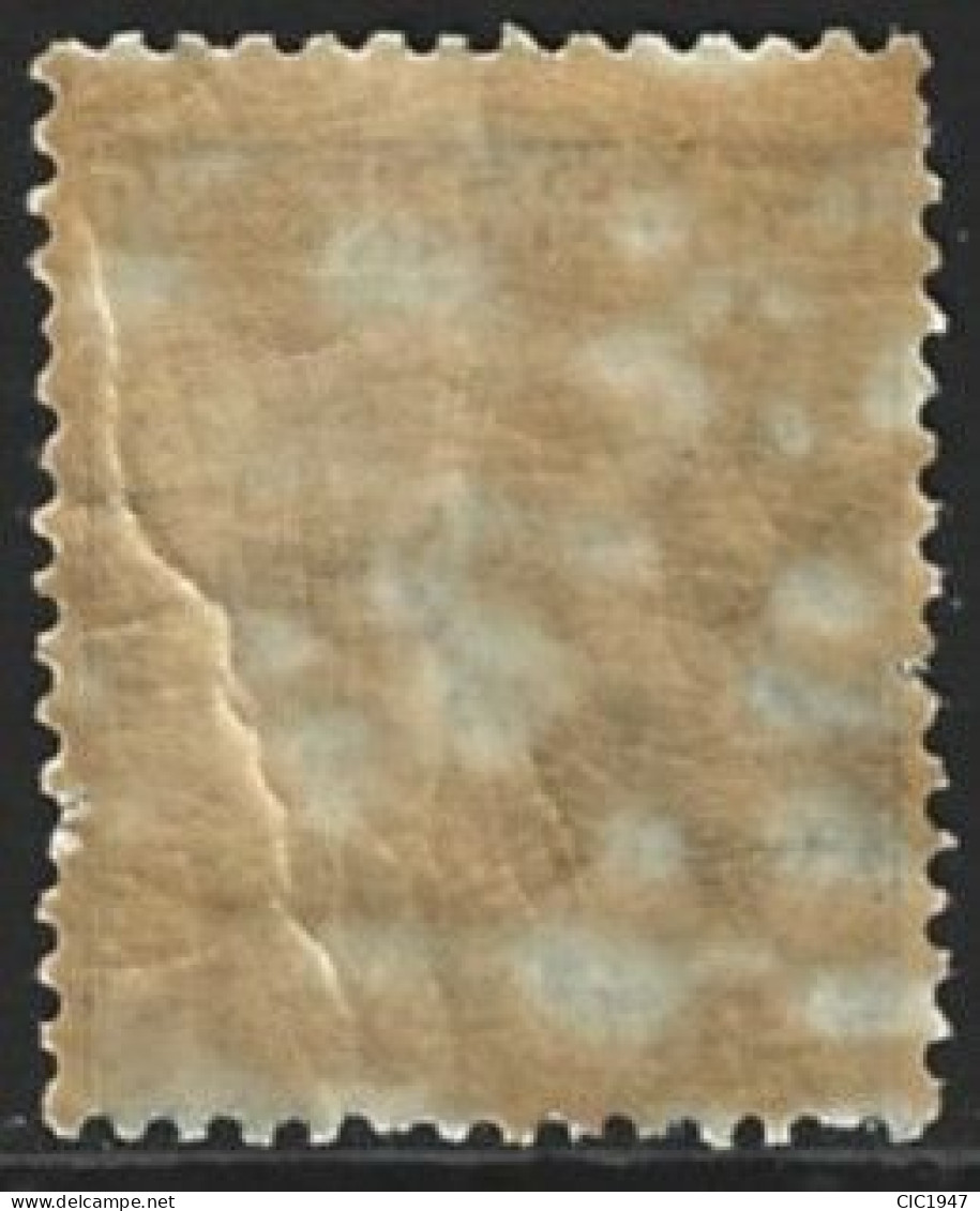 Regno 1924 Nuovo Mnh**( Primo Tipo ) - Mint/hinged