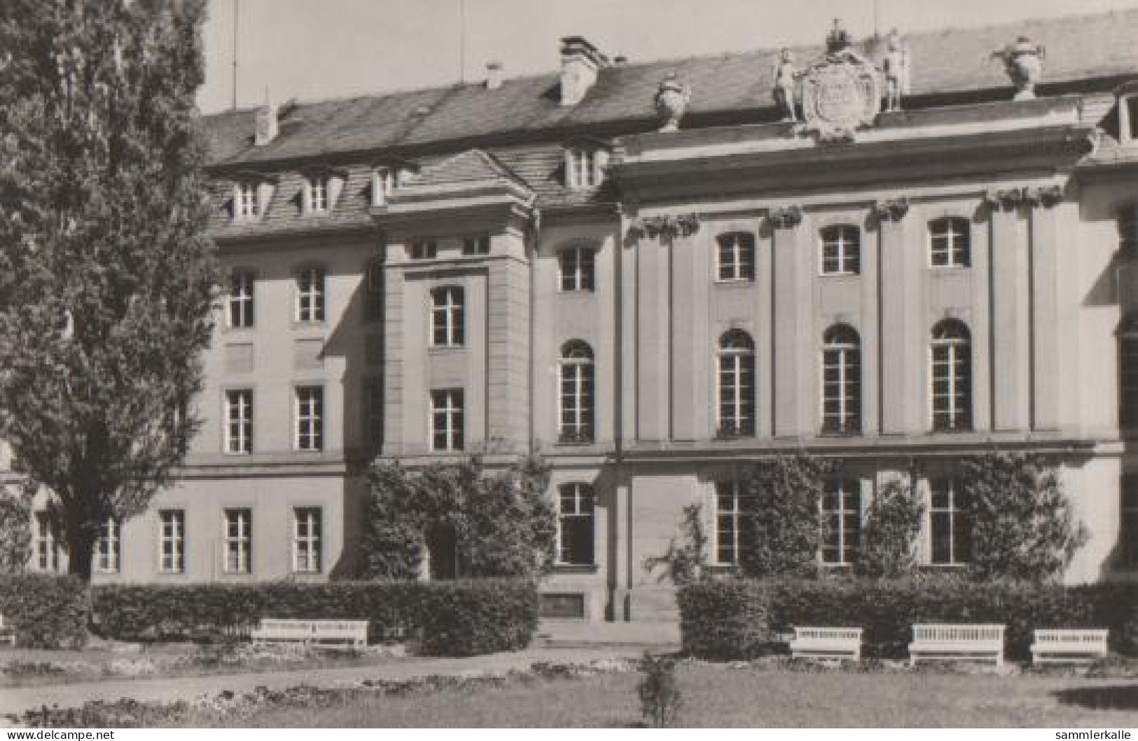 23101 - Greifswald - Universität - Ca. 1965 - Greifswald