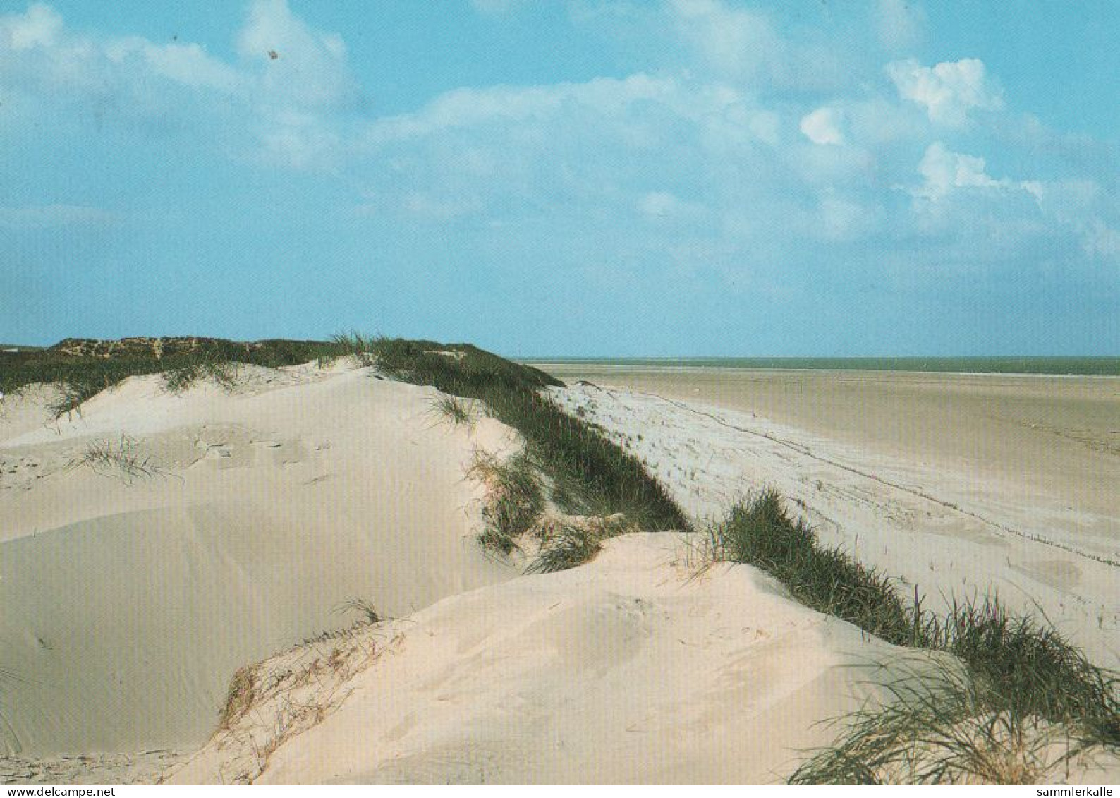 29053 - Sylt (Insel) - Dünenausblick - 1987 - Sylt