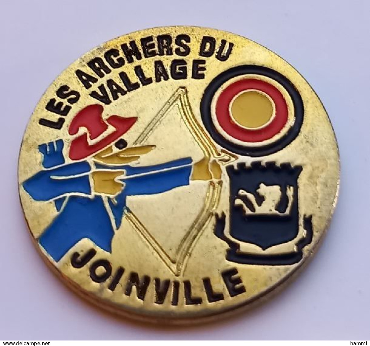 N371 Pin's Tir à L'arc Les Archers Du Vallage Joinville Haute Marne Achat Immédiat - Archery