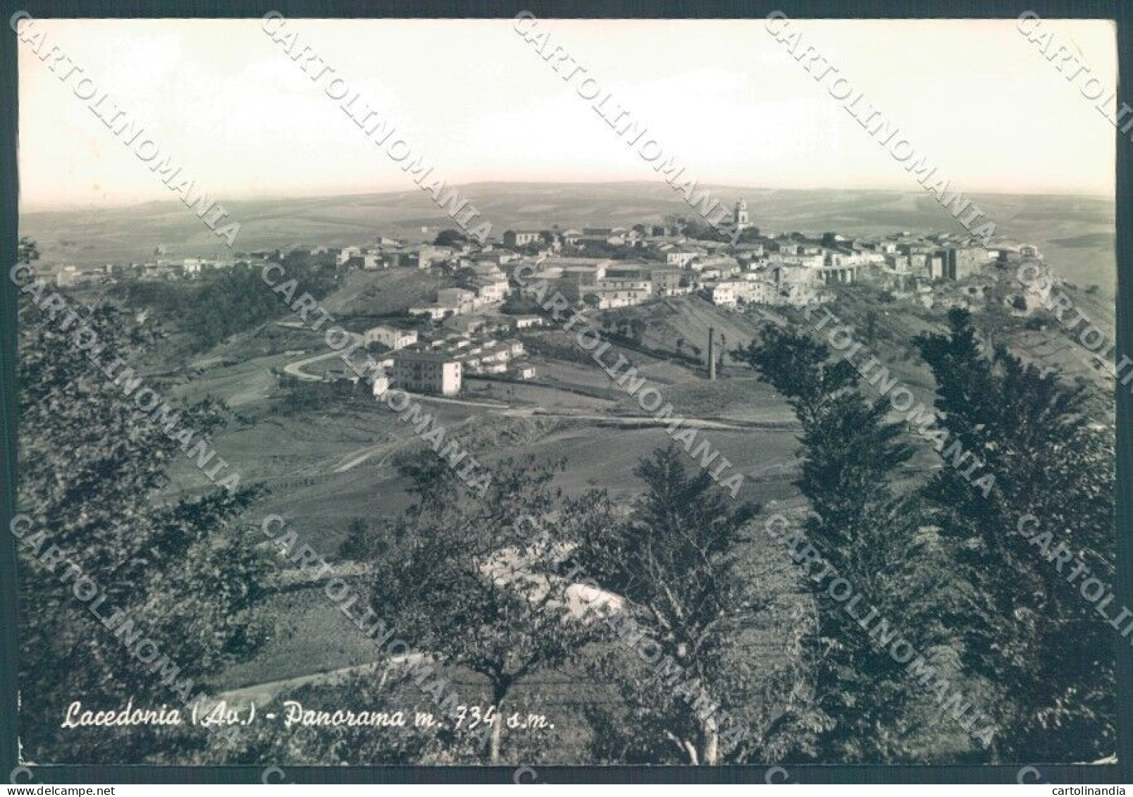 Avellino Lacedonia PIEGHINA ANGOLO Foto FG Cartolina JK1542 - Avellino