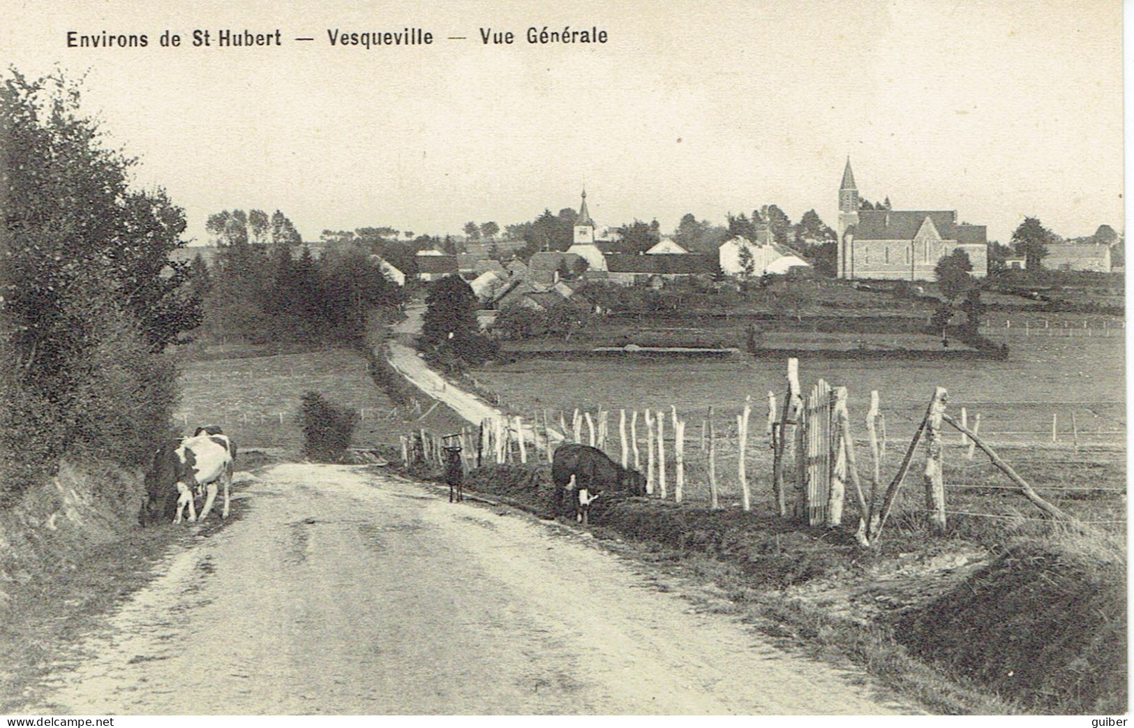 Environs De Saint Hubert Vesqueville  Vue Generale - Saint-Hubert