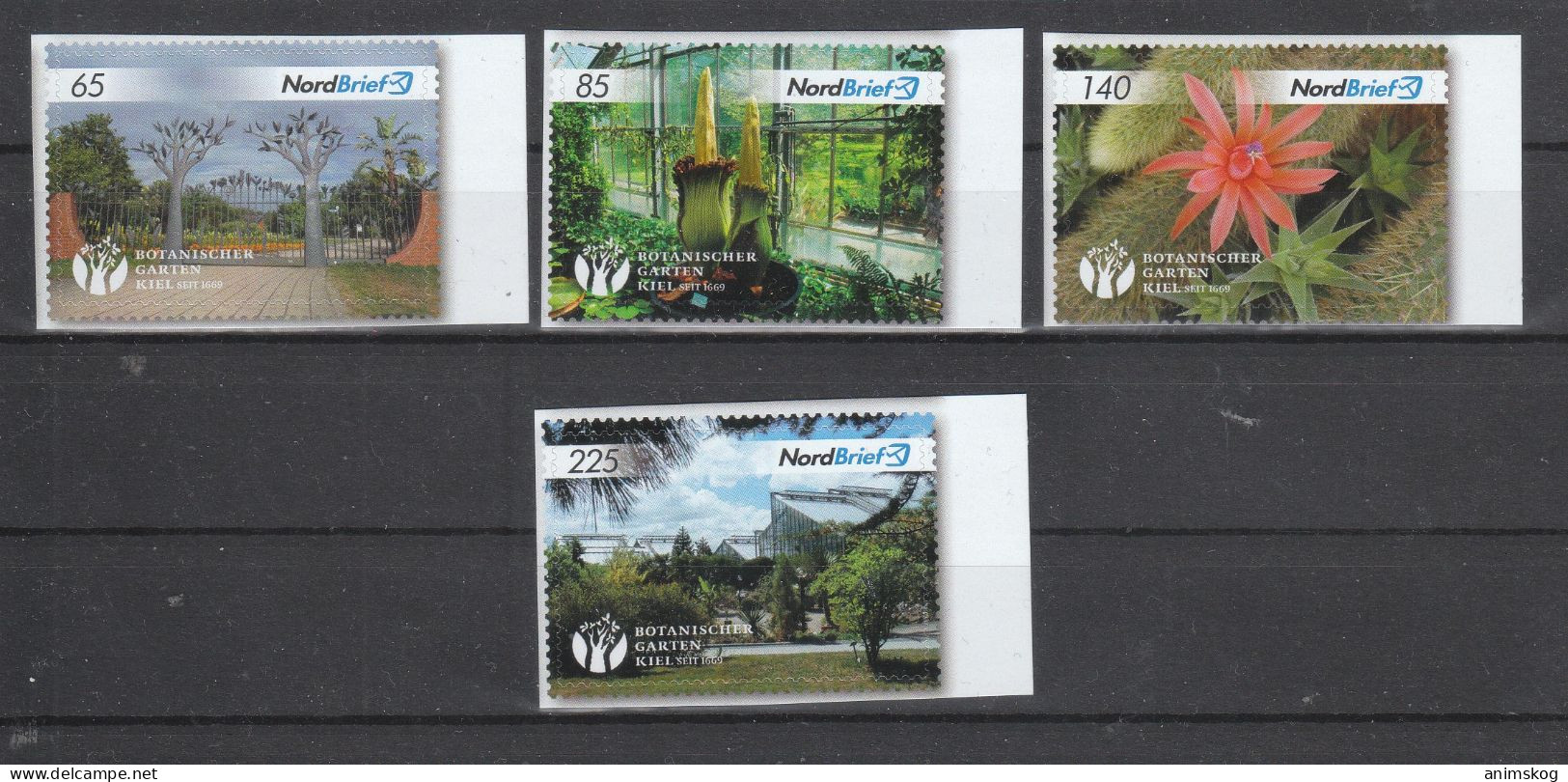 Deutschland**, Privatpost NordBrief, Kaktus / Deutschland, MNH, Private Mail Nordbrief, Cactus - Sukkulenten