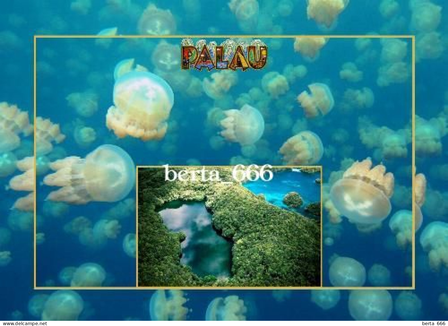 Palau Jellyfish Lake New Postcard - Palau
